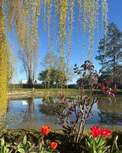 a garden with flowers in front of a pond at Corse Lawn House Hotel in Corse