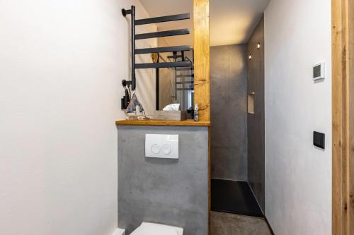 a bathroom with a toilet and a mirror at Ferienhaus Stauseeblick in Kelbra