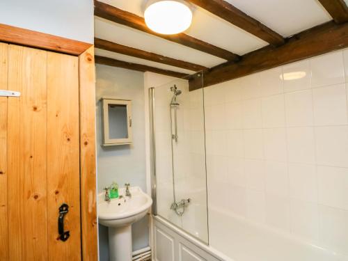 a bathroom with a shower and a sink and a toilet at Swallows Nest in Newton Abbot