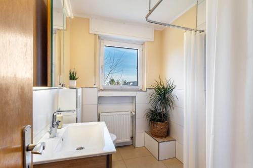 a bathroom with a sink and a window at Ferienwohnung In den Haargärten in Möhnesee