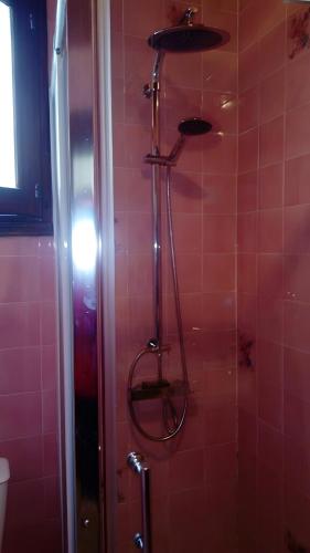a shower in a bathroom with pink tiles at T3 Mimizan Plage in Mimizan-Plage