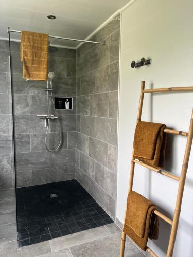 a bathroom with a shower with a glass door at Grand studio Plaisance et Fleurs in Le Vauclin