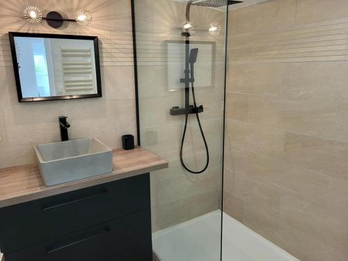 a bathroom with a shower with a sink and a mirror at Gîte Les Pirouettes in Pirou