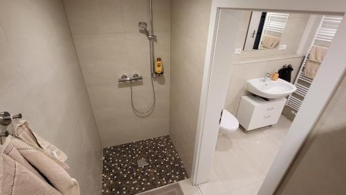 a bathroom with a shower and a toilet and a sink at Ferienwohnung Burgstraße in Fuldatal