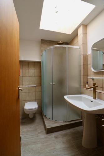 a bathroom with a shower and a toilet and a sink at Biburg86420 in Biburg