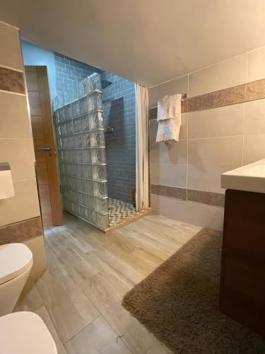 a bathroom with a shower and a toilet in it at La morena in Guaro