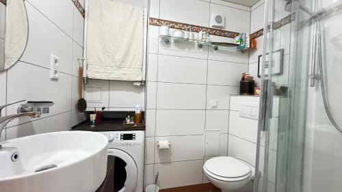 a bathroom with a sink and a washing machine at Bayerwaldresort in Sankt Englmar