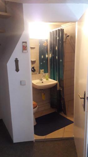 a bathroom with a sink and a toilet and a shower at Ferienwohnung Hiddenseeblick 2 in Dranske