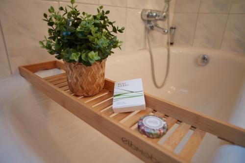 a potted plant sitting on a tray next to a bath tub at Angernest in Elfershausen