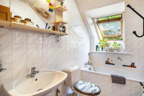 a bathroom with a sink and a toilet and a window at Ferienwohnung im Ländlichen Raum in Reuthen