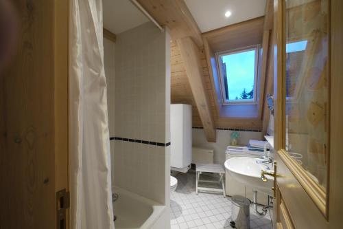 a bathroom with a shower and a sink and a toilet at Familienhaus in Trebel