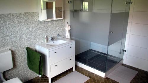 a bathroom with a shower and a sink and a toilet at Fewo Deister Bikertraum in Wennigser Mark