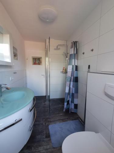 a bathroom with a shower and a sink and a toilet at Ferienwohnung bei Bojko in Oberkirch