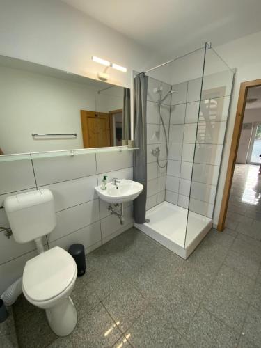 a bathroom with a toilet and a shower and a sink at Pensiunea Arpasel in Arpaşu de Sus