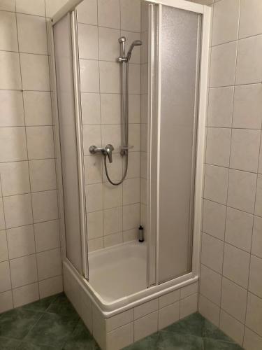 a shower with a glass door in a bathroom at Ferienwohnungen am Louisenteich in Frauendorf