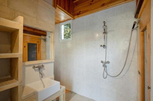 a bathroom with a shower and a sink at Domaine du Courroussouve in Oppède