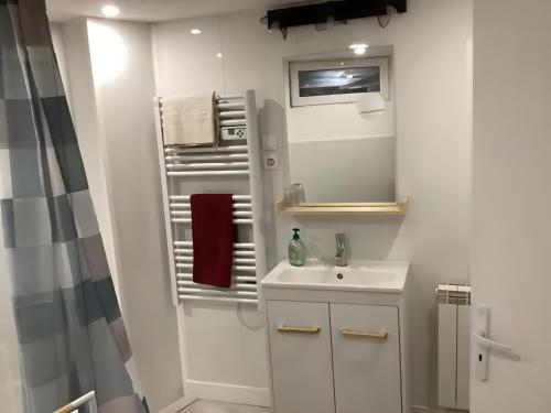 a white bathroom with a sink and a shower at Appartement de charme Saint-Romain in Saint-Romain