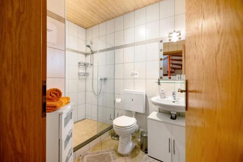 a bathroom with a shower and a toilet and a sink at Casa Mia in Bad Dürkheim