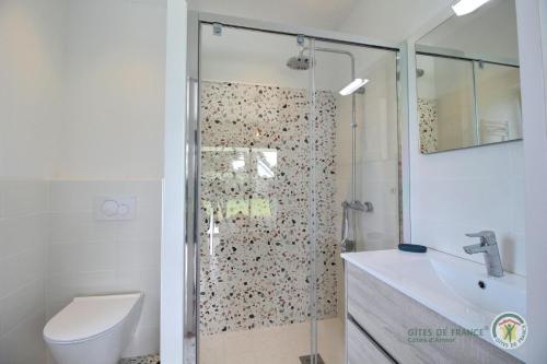 a bathroom with a shower with a toilet and a sink at Ty mam goz in Trébeurden