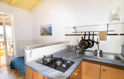 a kitchen with a sink and a stove top oven at Le Cinque in Appietto