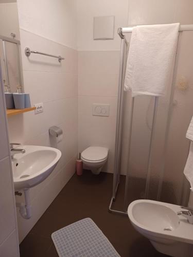 a bathroom with a sink and a toilet and a shower at App Sonne Nr 14 in Lutago