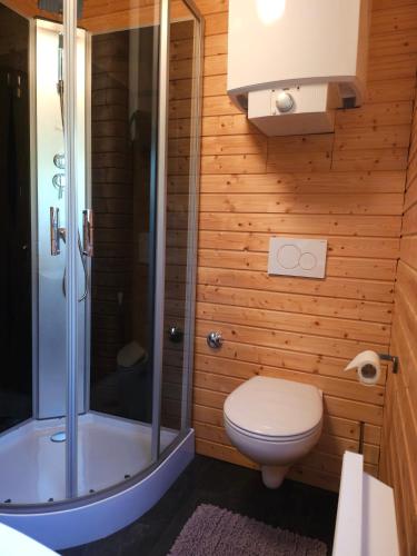 a bathroom with a toilet and a shower at Weiherhüttla in Untersteinach