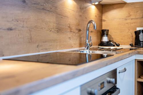 a kitchen with a stainless steel sink and wooden wall at Maurerhof Morgenrot in Maranza