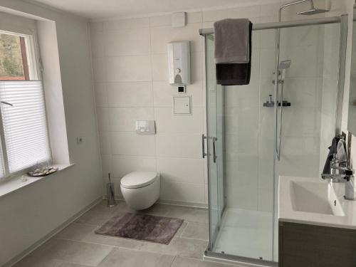 a bathroom with a shower and a toilet and a sink at Ferienhaus Rübeland in Neuwerk