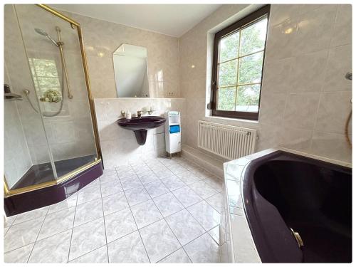 a bathroom with a tub and a sink and a shower at Haus schöne Aussicht bei Chemnitz in Chemnitz
