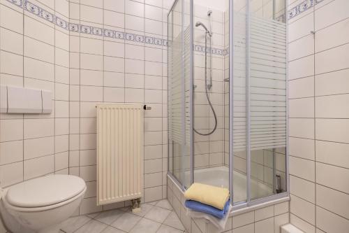 a bathroom with a toilet and a glass shower at Fewo Brünnstein - Zimmer 50 in Oberaudorf