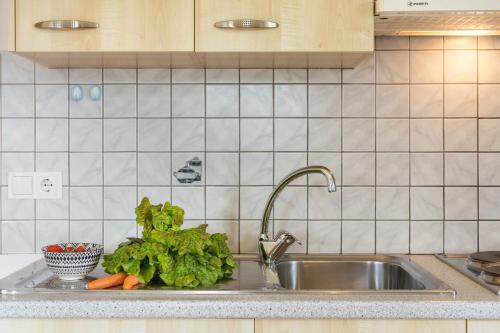 a kitchen sink with a bunch of lettuce and carrots at Woehrmannhof Apt Spinnrad in Feldthurns