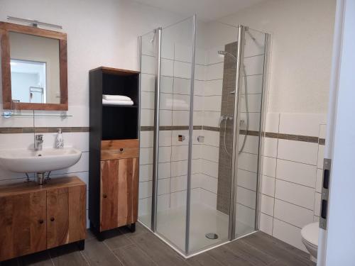 a bathroom with a glass shower and a sink at Bauernhof Schäfer in Mühlacker