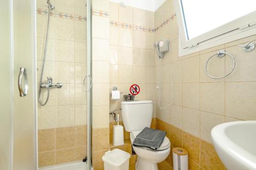a small bathroom with a toilet and a shower at Efrosyni apartment in Kefallonia