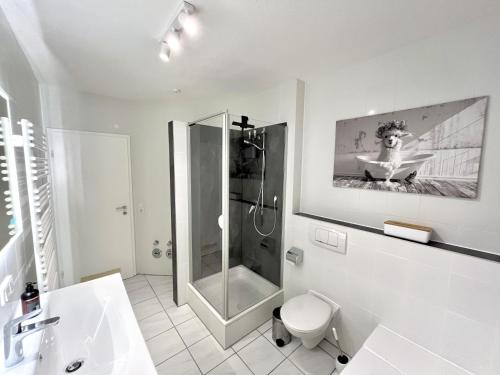 a bathroom with a shower and a toilet and a sink at Ferienwohnung an der Aschaffaue in Aschaffenburg