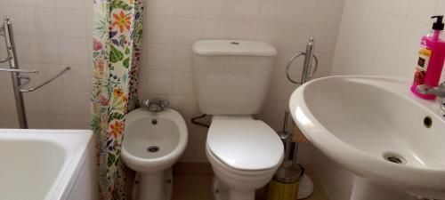 a bathroom with a toilet and a sink and a tub at Vivenda Chã in Ribeira Funda