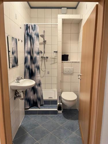 a bathroom with a sink and a toilet and a shower at Gemütliche Einliegerwohnung in Imsbach