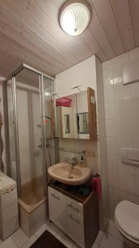 a bathroom with a sink and a shower and a toilet at Ferienwohnung Älple im Sonnenpark in Bad Hindelang