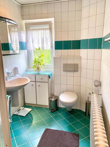 a bathroom with a toilet and a sink at Ferienwohnung Alraftsblick in Waldeck