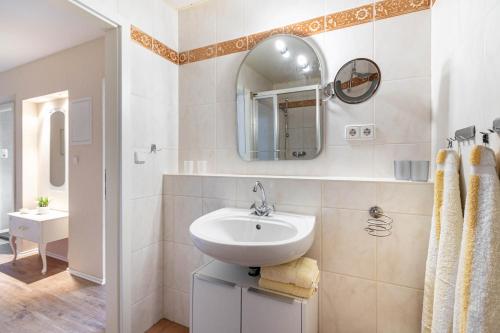 a bathroom with a sink and a mirror at Ferienhof Ibs in Kronprinzenkoog