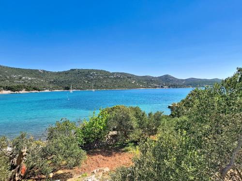 a view of a large body of water with trees at Holiday Home Marica by Interhome in Tkon