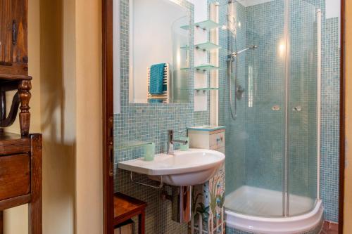 a bathroom with a sink and a shower at Small Rustic Apartment in Scrofiano