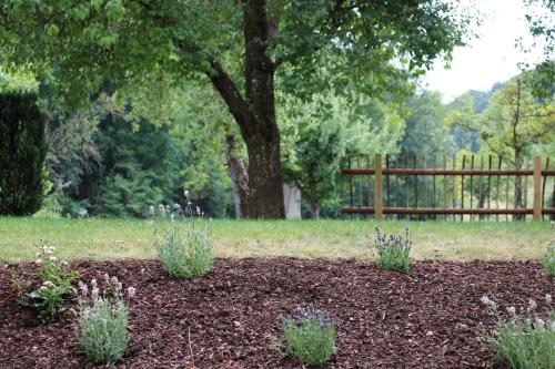 a flower bed in a yard with a tree at Lautertal Zinne in Hayingen