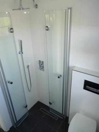 a bathroom with a shower and a toilet at Feriencottage Nordseeluft in Siekbüll
