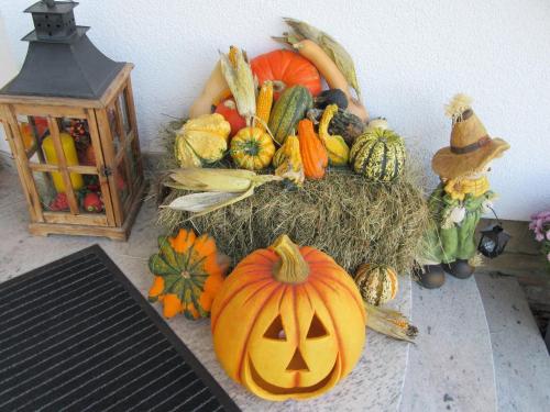 a display of pumpkins and other vegetables on a table at Alpen-Chalet Ehrwald in Ehrwald