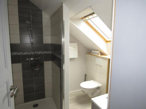 a bathroom with a shower and a toilet at Les Hirondelles du Cap in Plévenon