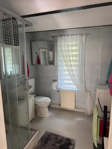 a bathroom with a toilet and a window at Monteurswohnung Rothentor4 in Dorf Mecklenburg
