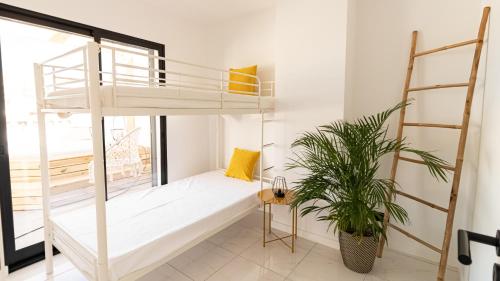 a bedroom with a bunk bed and a potted plant at Mi Casa Es Su Casa Nº5 in Albufeira