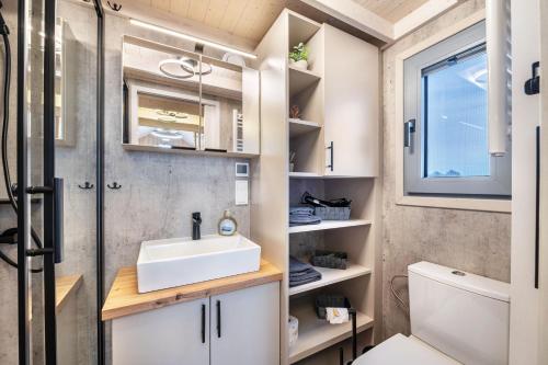a bathroom with a sink and a toilet at Tiny House Ingo John 'Speedy' in Sandstedt