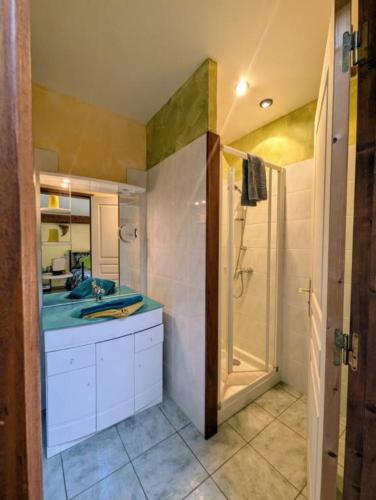 a bathroom with a sink and a shower at Chambres D'hôtes - Au Soleilo in Mostuéjouls
