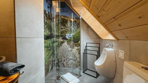 a bathroom with a shower and a urinal in a room at Chaty Wald in Karpacz